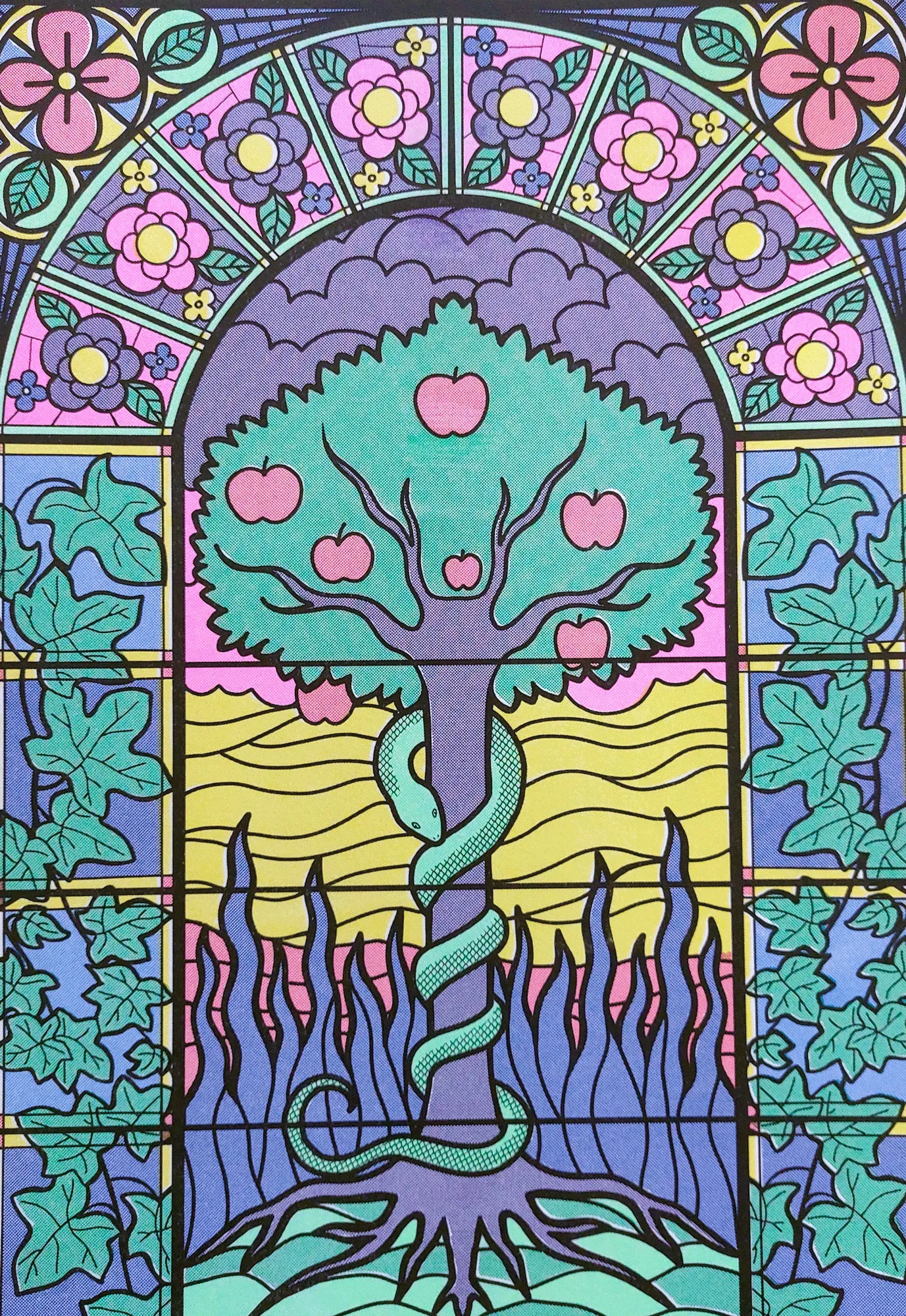 Window
