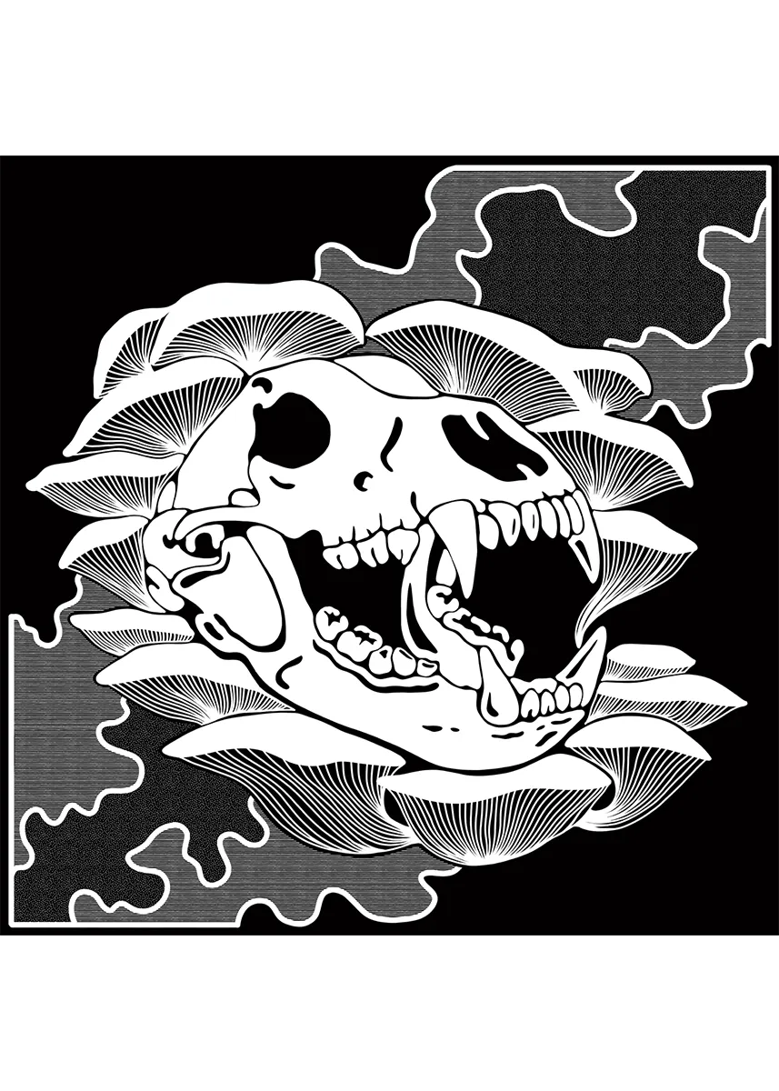 Bear Skull Zosia Paszkiet 1