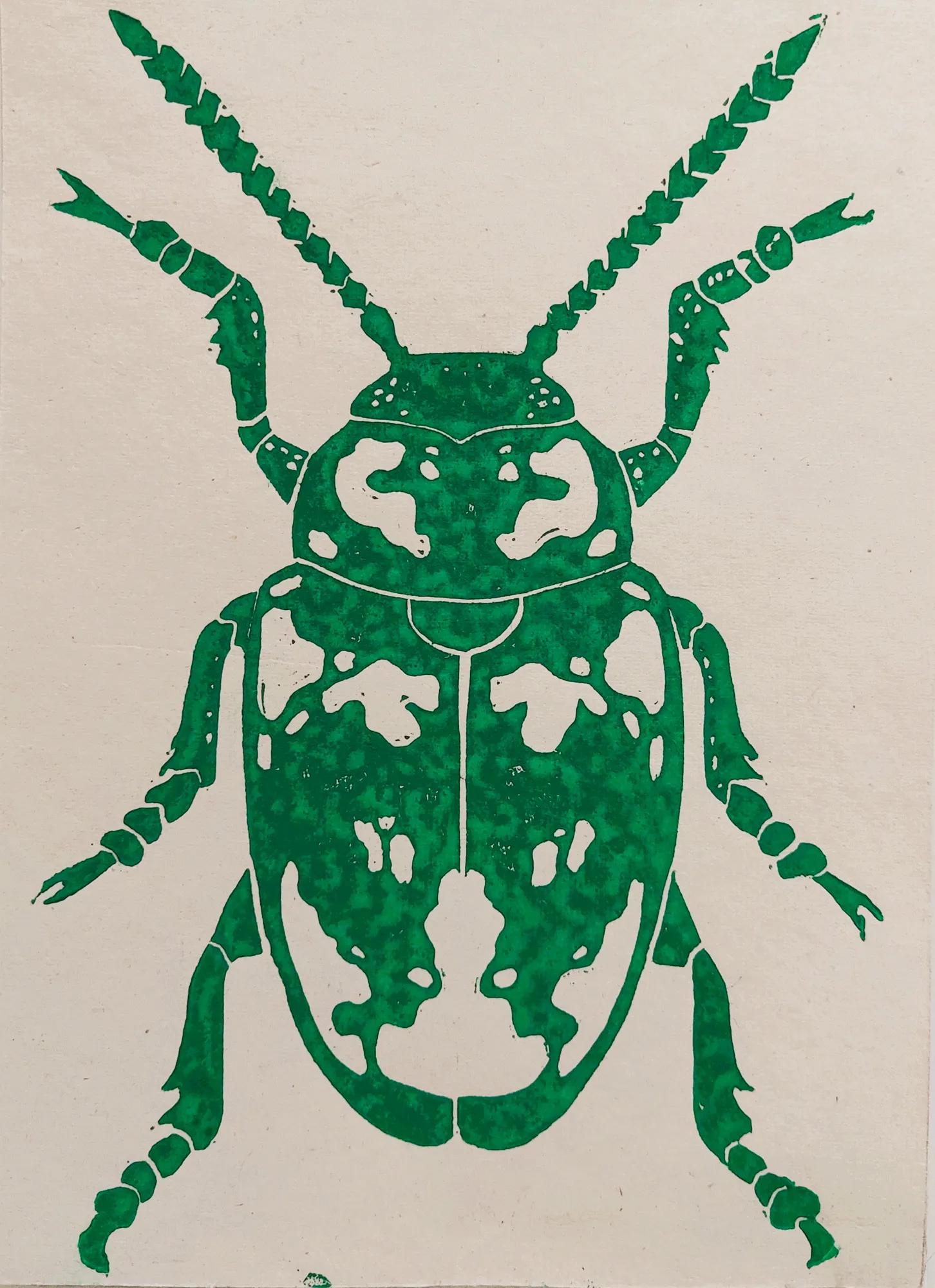 Green Bug