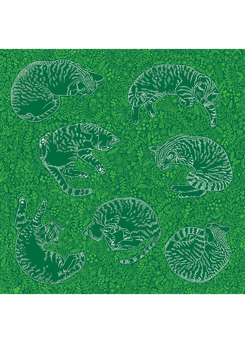 Cats Zosia Paszkiet 1