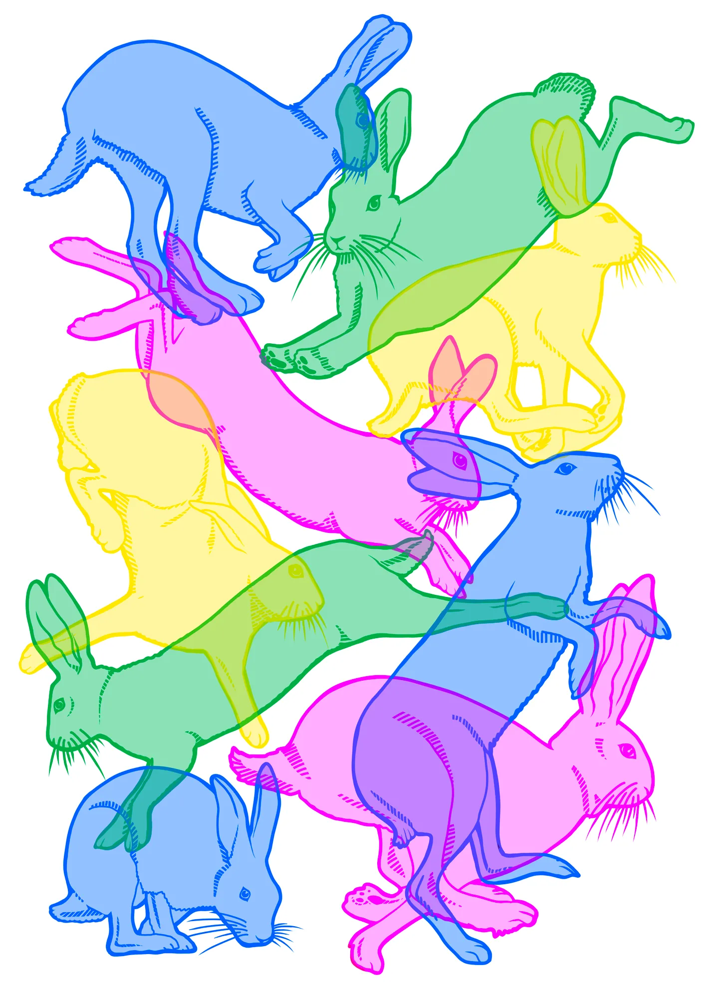 Hares in Motion
