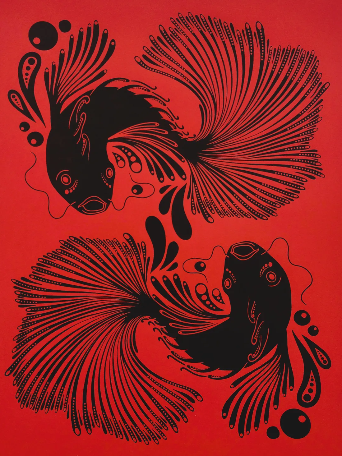 Siamese Fighting Fish