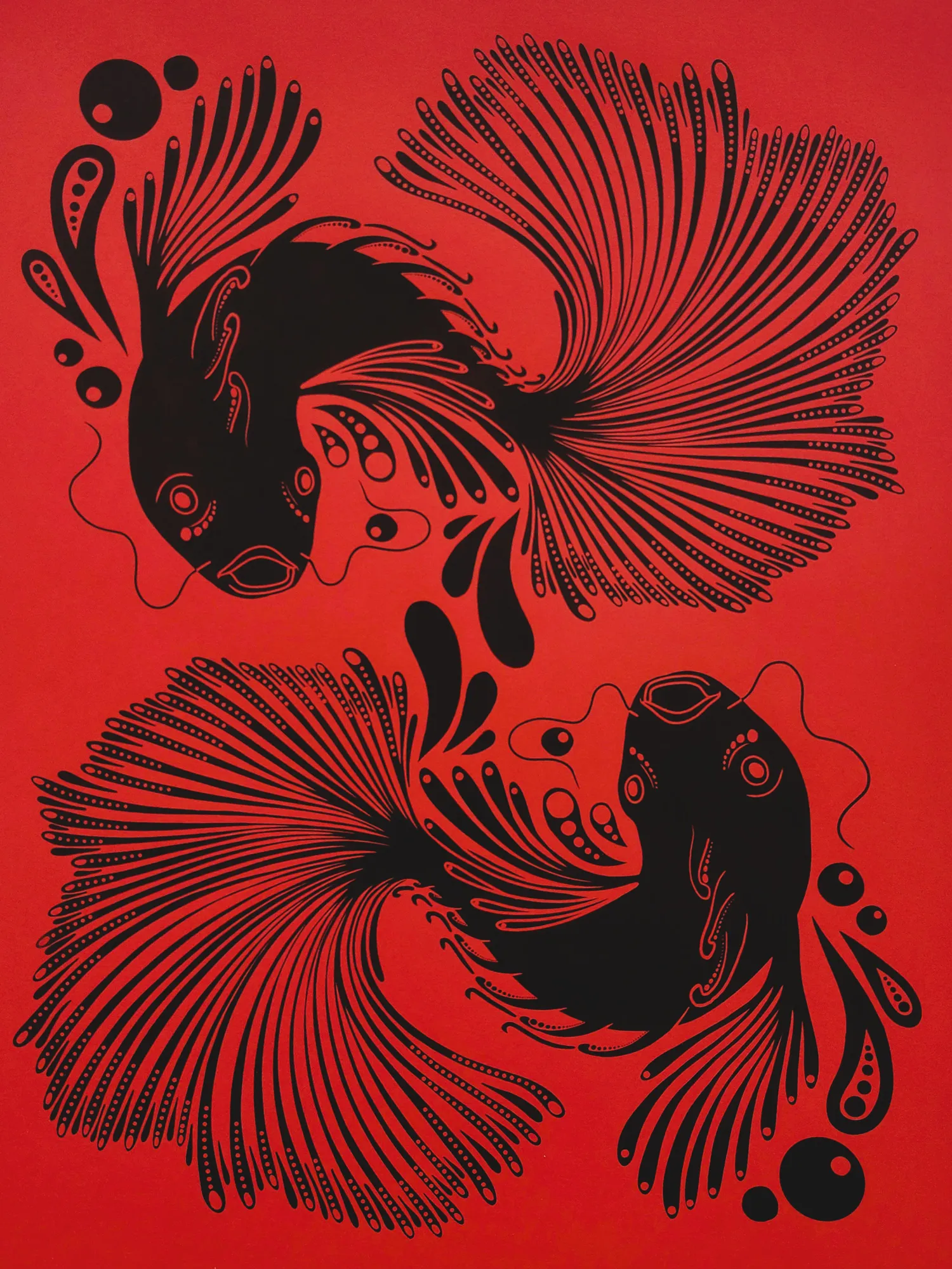 Siamese Fighting Fish