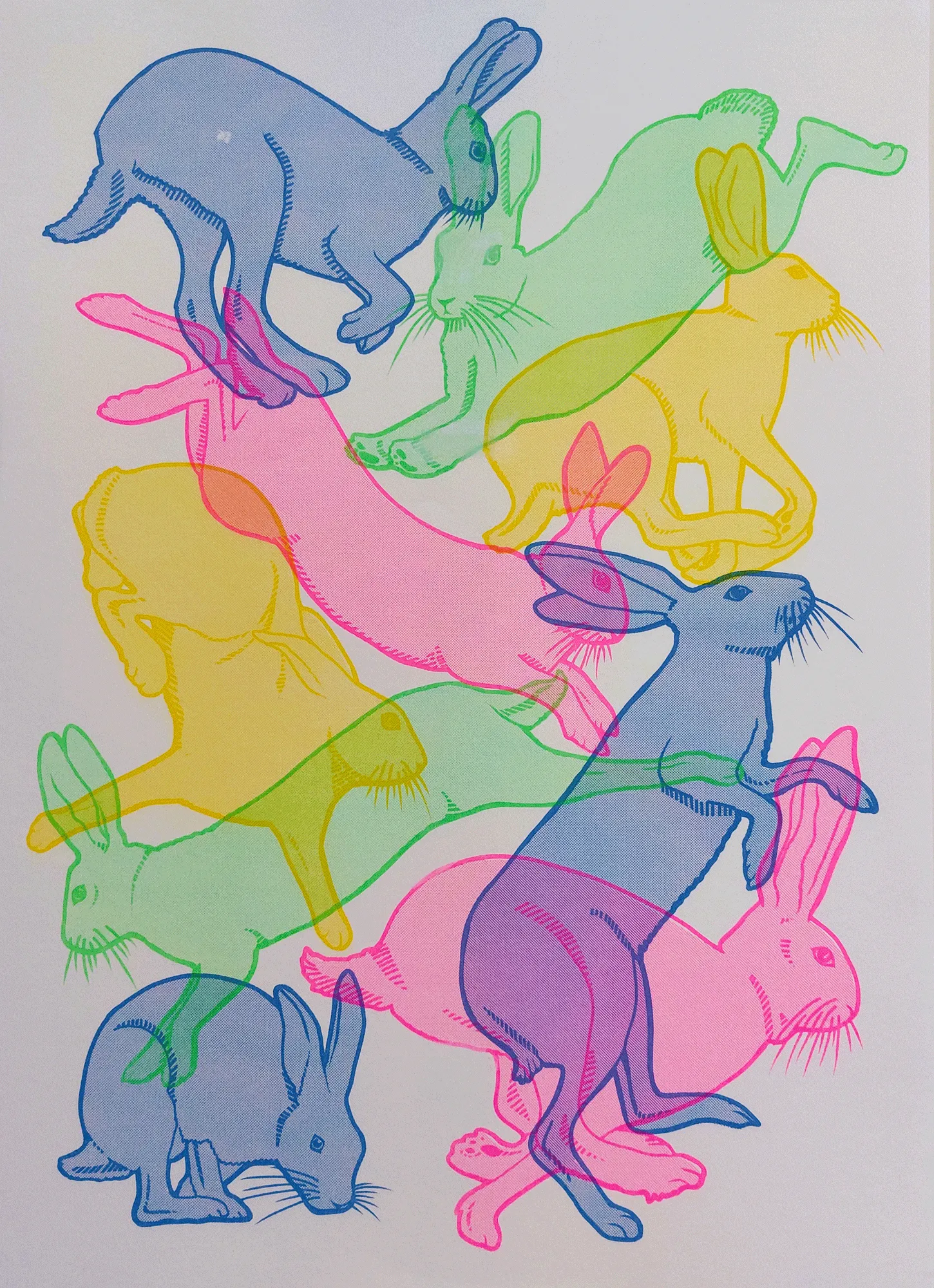 Hares in Motion RISO