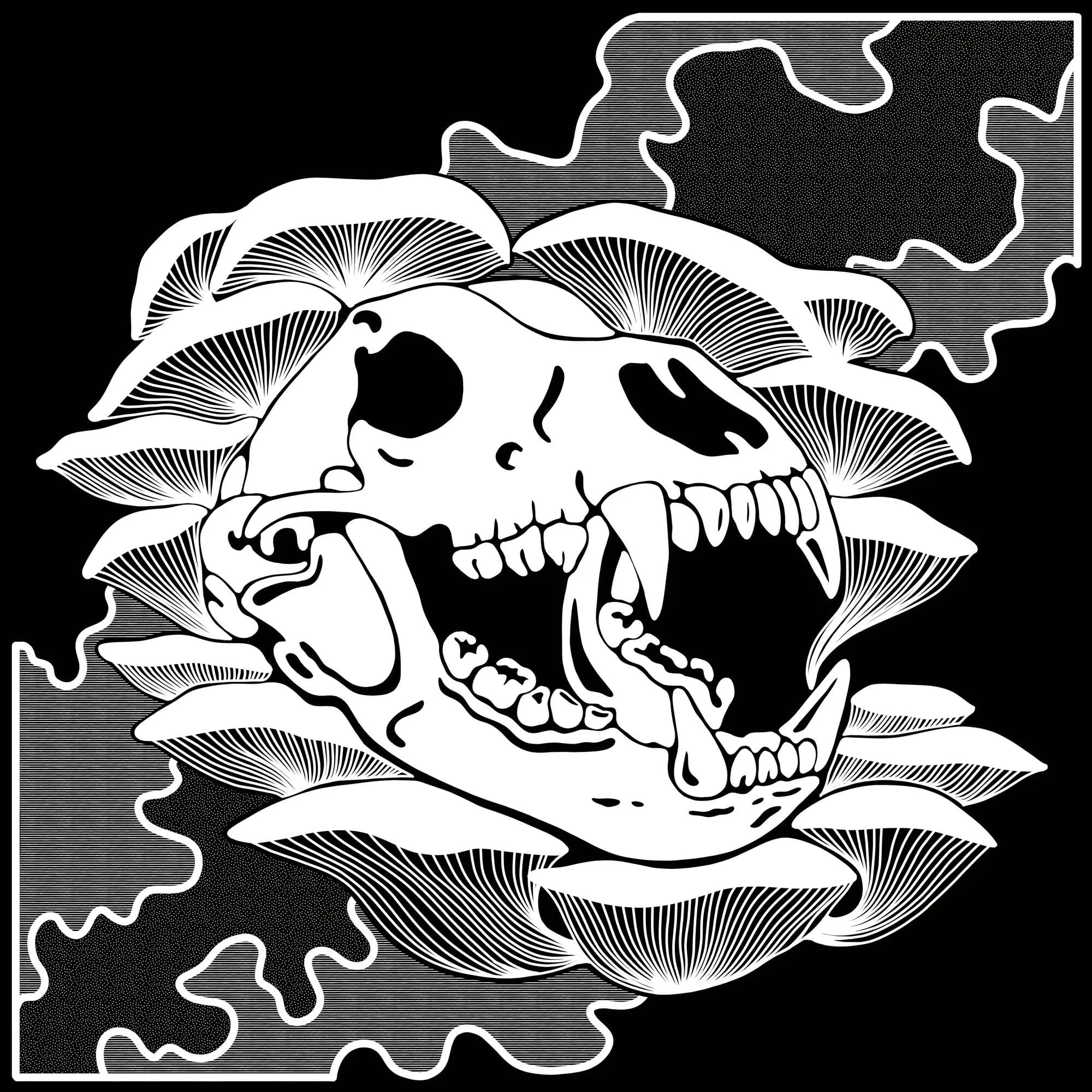Bear Skull