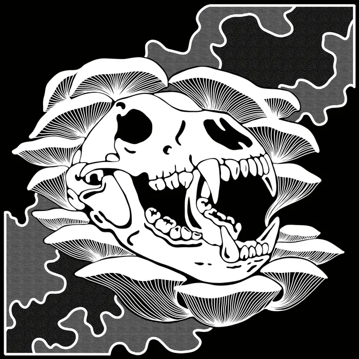 Bear Skull