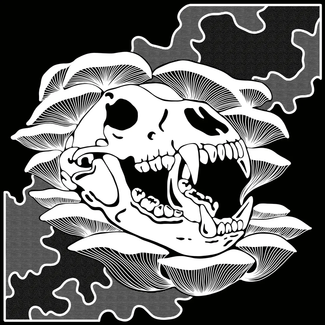 Bear Skull