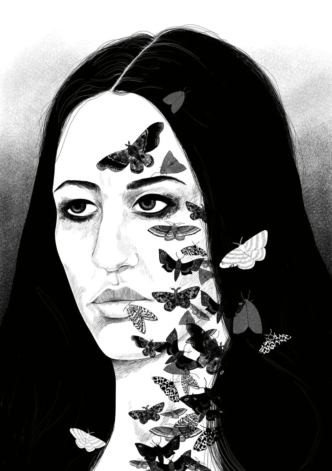 Moths