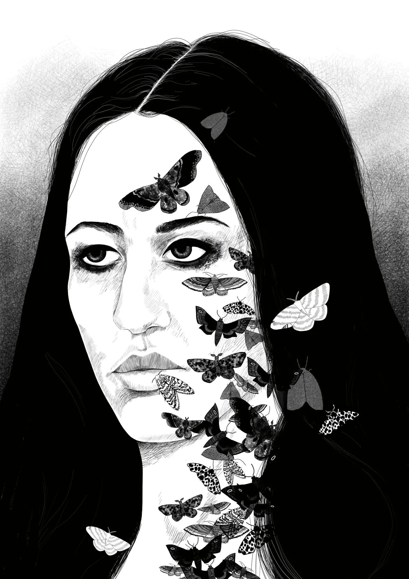 Moths