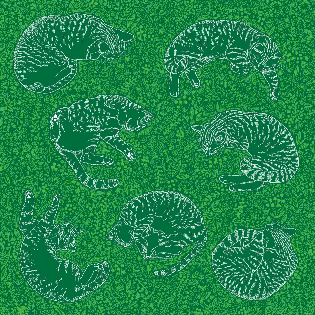 Cats in the meadow