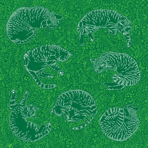 Cats in the meadow