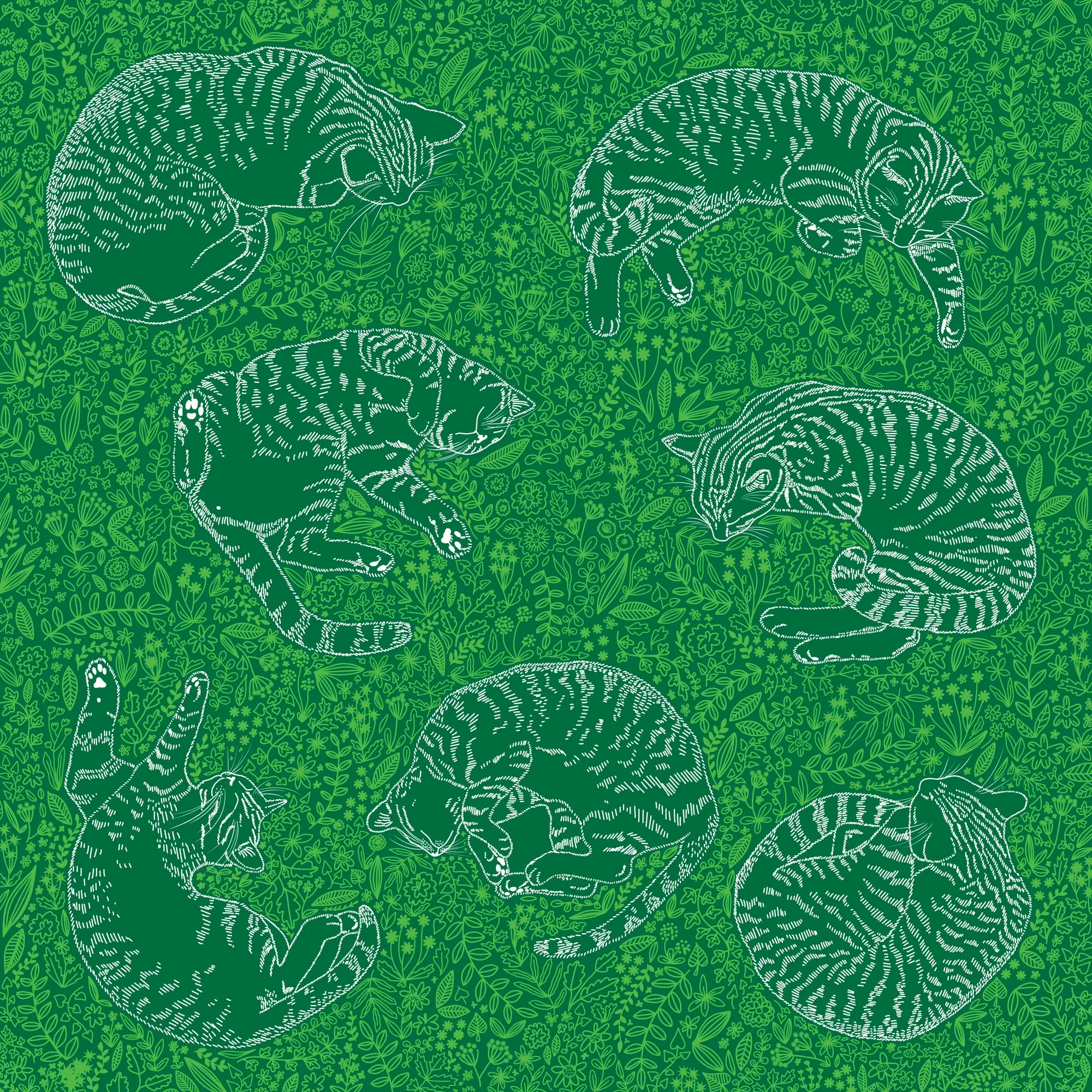 Cats in the meadow
