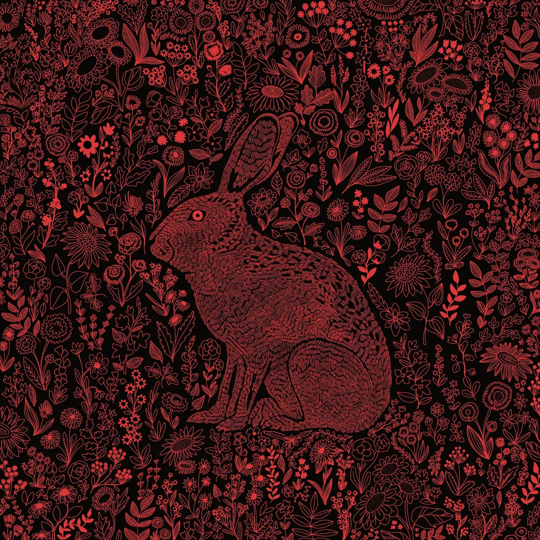 Wild Hare