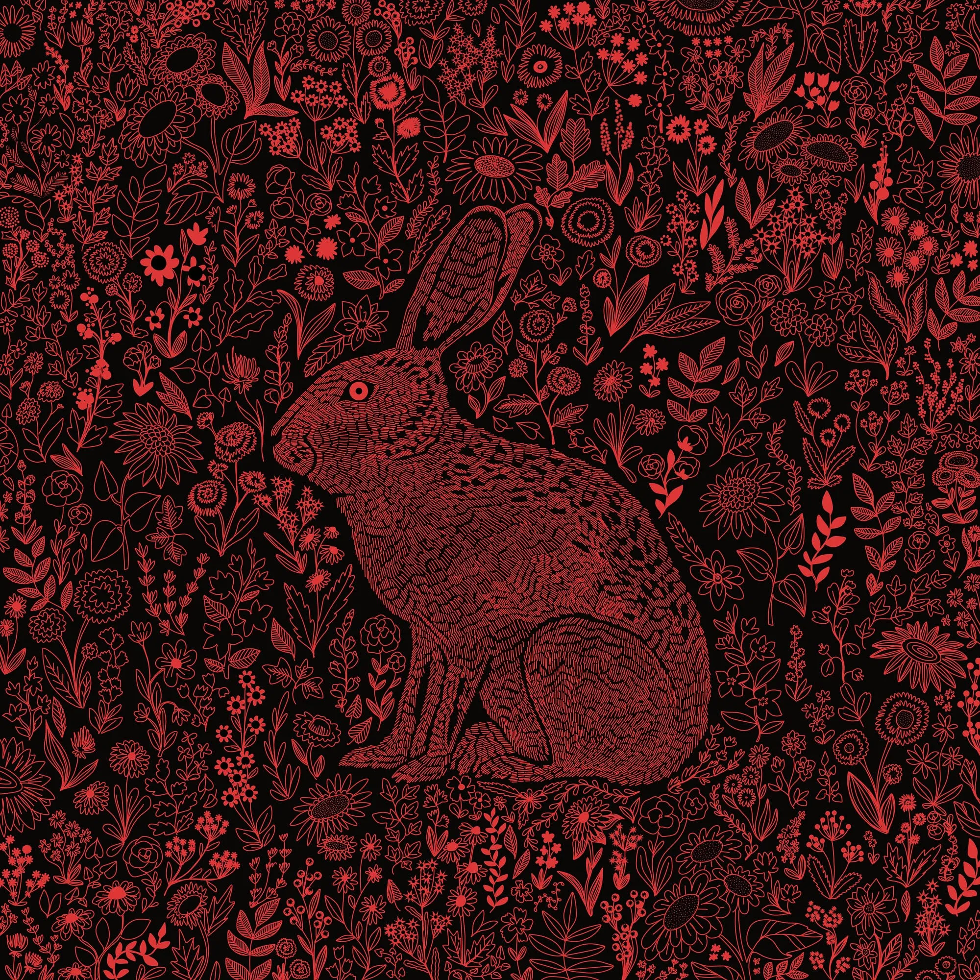 Wild Hare