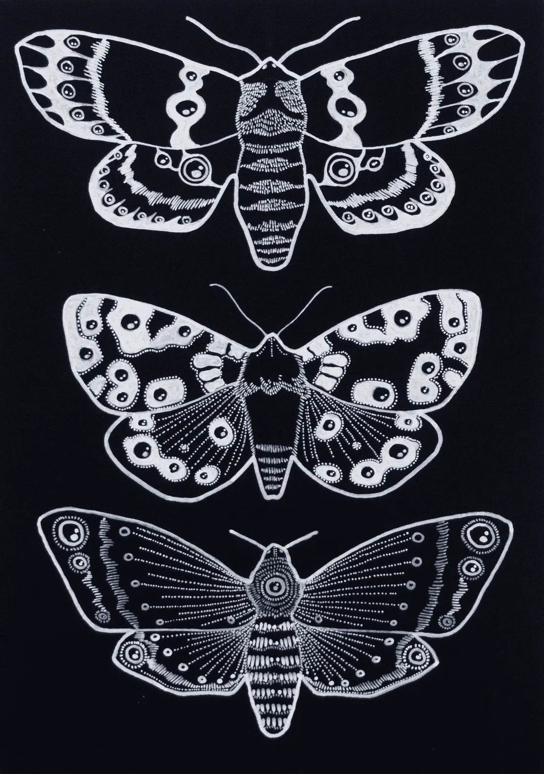 Eyes on Wings