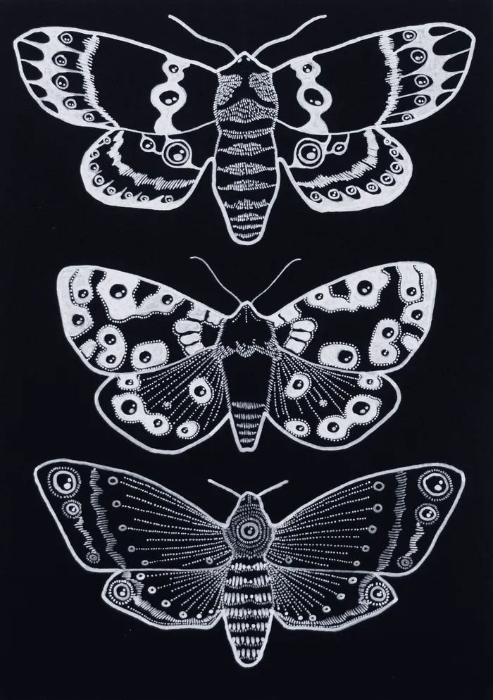 Eyes on Wings