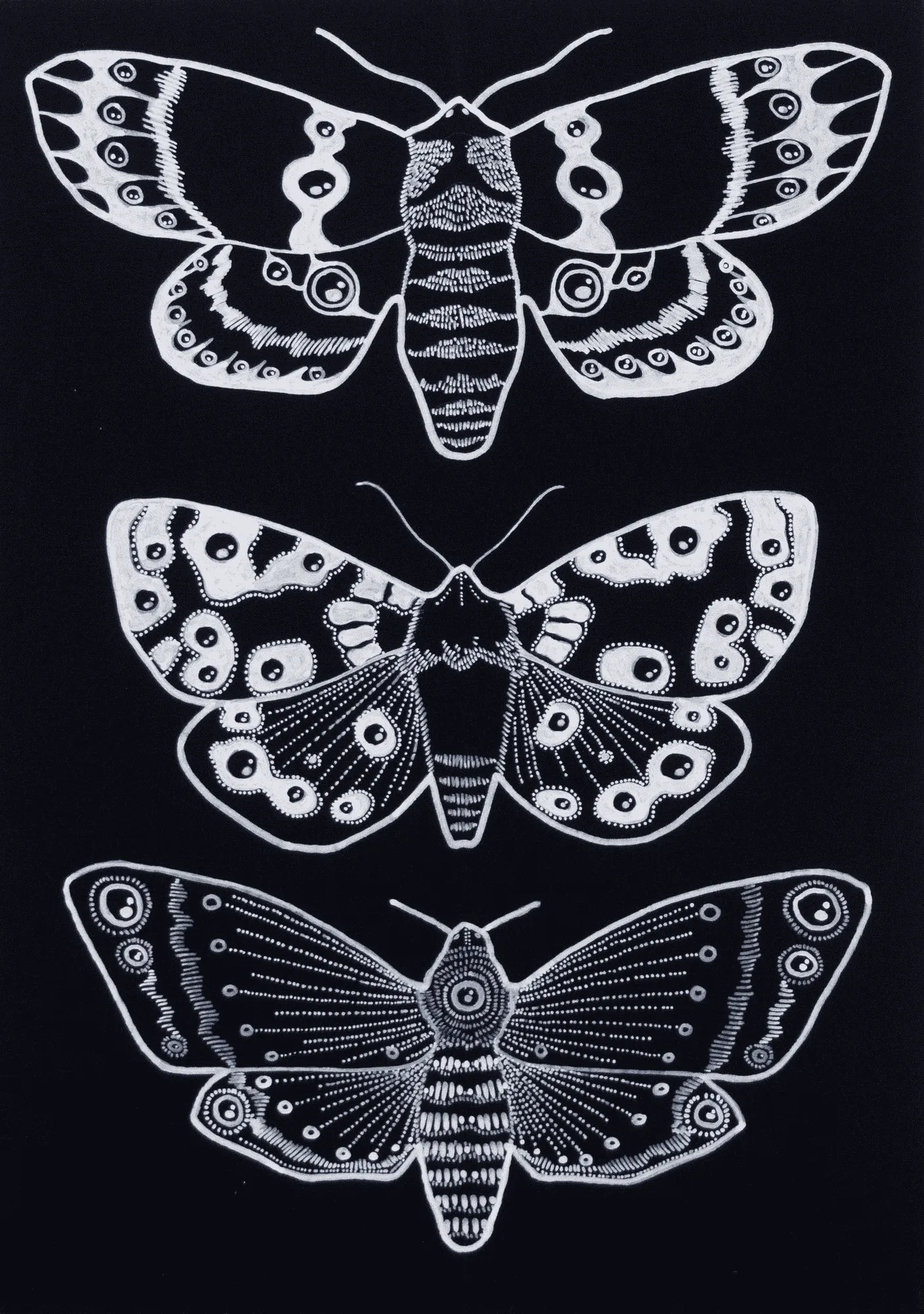 Eyes on Wings