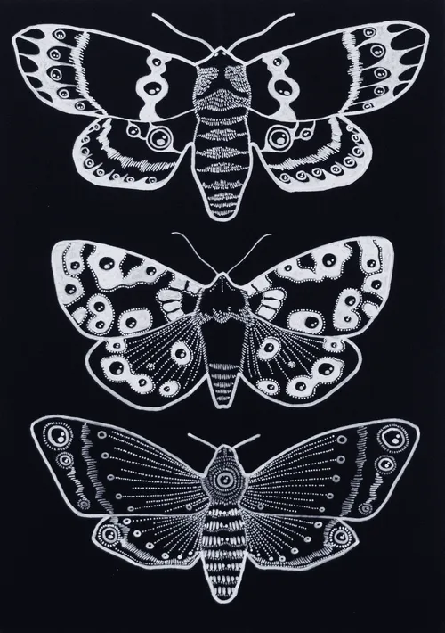 Eyes on Wings