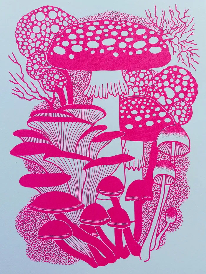 Pink Funghi
