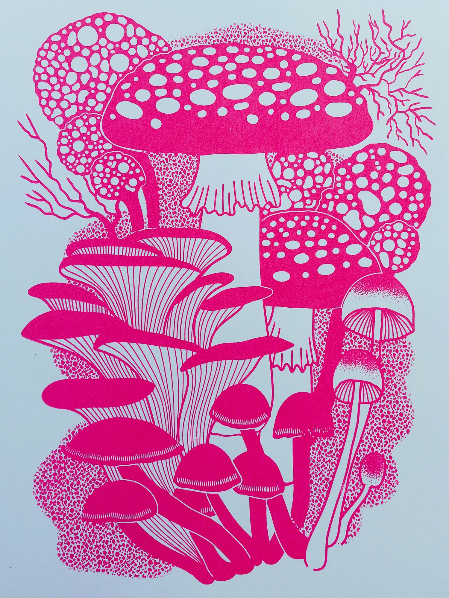 Pink Funghi