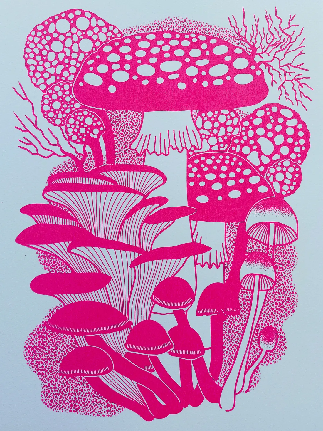 Pink Funghi