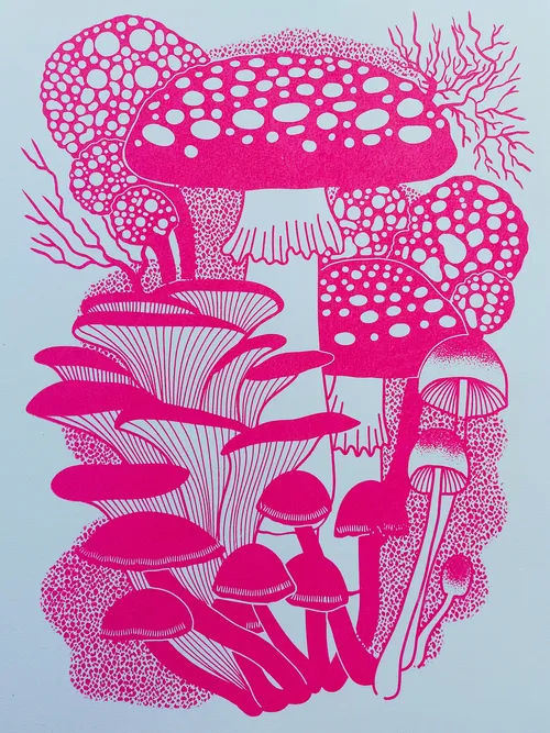 Pink Funghi