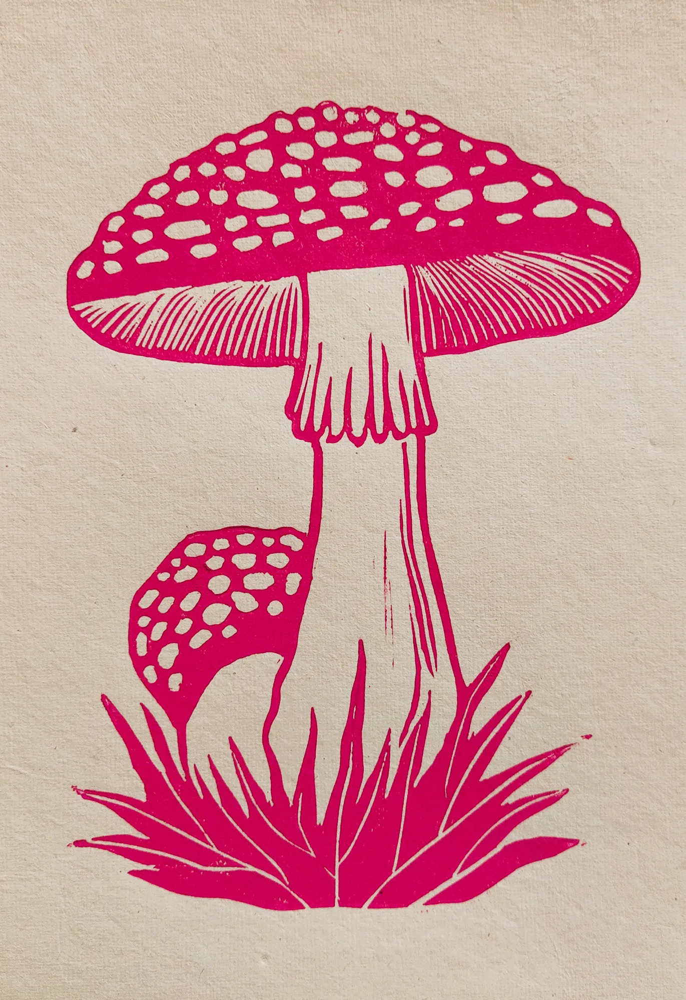 Pink Mushroom